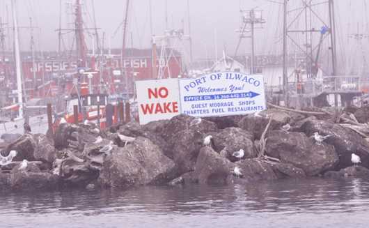 Port of Ilwaco